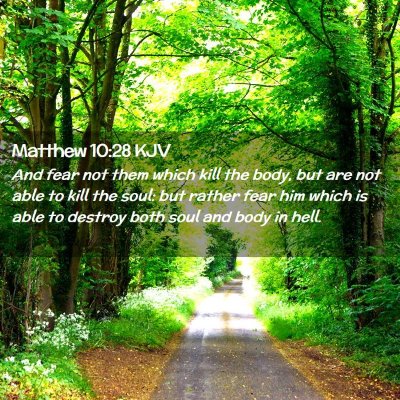 Picture 02 - Matthew 10:28 KJV - And fear not them which kill the body, but are - Bible Verse Picture