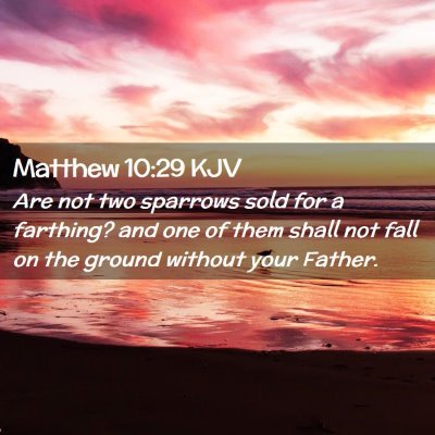 Picture 02 - Matthew 10:29 KJV - Are not two sparrows sold for a farthing? and one - Bible Verse Picture