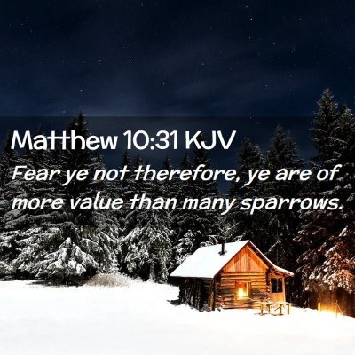 Picture 02 - Matthew 10:31 KJV - Fear ye not therefore, ye are of more value than - Bible Verse Picture