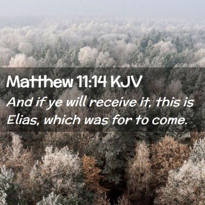Picture 02 - Matthew 11:14 KJV - And if ye will receive it, this is Elias, which - Bible Verse Picture