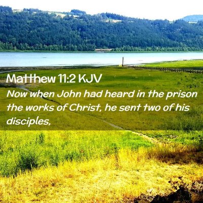 Picture 02 - Matthew 11:2 KJV - Now when John had heard in the prison the works - Bible Verse Picture