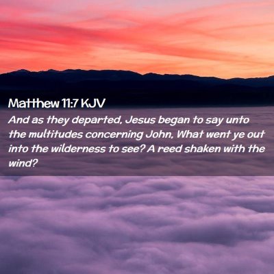 Picture 02 - Matthew 11:7 KJV - And as they departed, Jesus began to say unto the - Bible Verse Picture