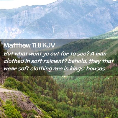 Picture 02 - Matthew 11:8 KJV - But what went ye out for to see? A man clothed in - Bible Verse Picture