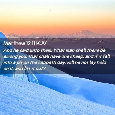 Picture 02 - Matthew 12:11 KJV - And he said unto them, What man shall there be - Bible Verse Picture