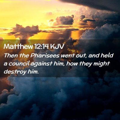 Picture 02 - Matthew 12:14 KJV - Then the Pharisees went out, and held a council - Bible Verse Picture