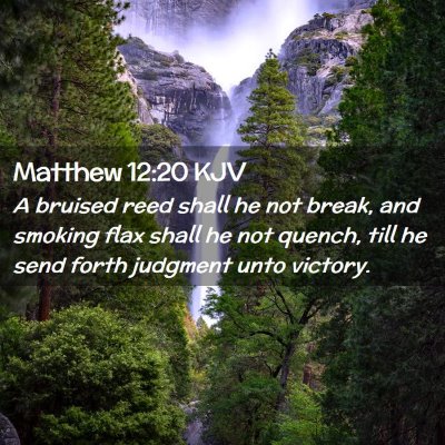Picture 02 - Matthew 12:20 KJV - A bruised reed shall he not break, and smoking - Bible Verse Picture