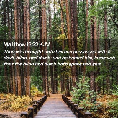 Picture 02 - Matthew 12:22 KJV - Then was brought unto him one possessed with a - Bible Verse Picture