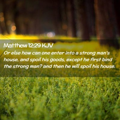 Picture 02 - Matthew 12:29 KJV - Or else how can one enter into a strong man's - Bible Verse Picture