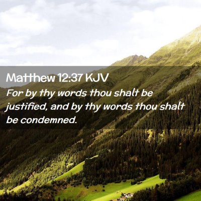Picture 02 - Matthew 12:37 KJV - For by thy words thou shalt be justified, and by - Bible Verse Picture
