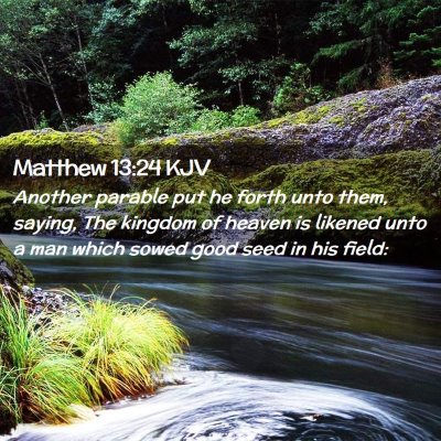 Picture 02 - Matthew 13:24 KJV - Another parable put he forth unto them, saying, - Bible Verse Picture