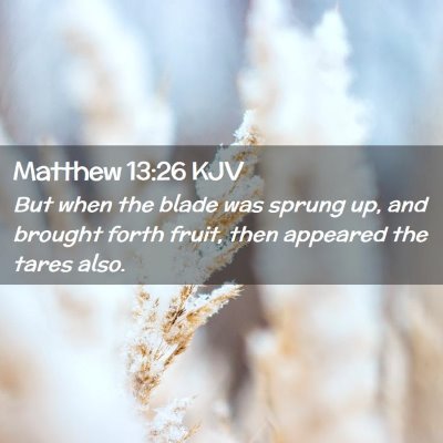 Picture 02 - Matthew 13:26 KJV - But when the blade was sprung up, and brought - Bible Verse Picture