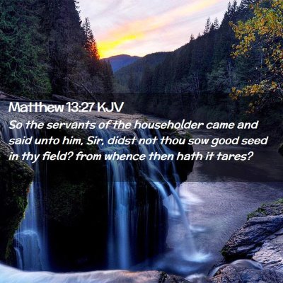 Picture 02 - Matthew 13:27 KJV - So the servants of the householder came and said - Bible Verse Picture