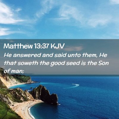 Picture 02 - Matthew 13:37 KJV - He answered and said unto them, He that soweth - Bible Verse Picture