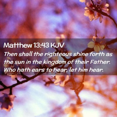 Picture 02 - Matthew 13:43 KJV - Then shall the righteous shine forth as the sun - Bible Verse Picture