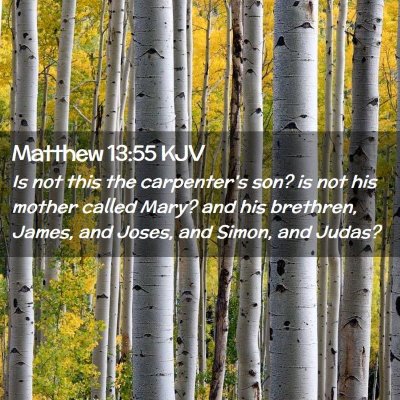 Picture 02 - Matthew 13:55 KJV - Is not this the carpenter's son? is not his - Bible Verse Picture