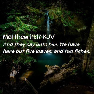 Picture 02 - Matthew 14:17 KJV - And they say unto him, We have here but five - Bible Verse Picture