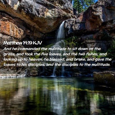 Picture 02 - Matthew 14:19 KJV - And he commanded the multitude to sit down on the - Bible Verse Picture