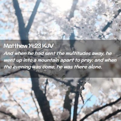 Picture 02 - Matthew 14:23 KJV - And when he had sent the multitudes away, he went - Bible Verse Picture