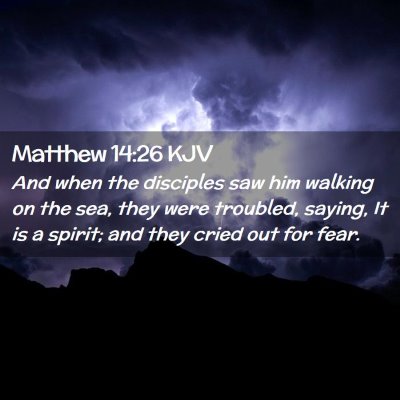 Picture 02 - Matthew 14:26 KJV - And when the disciples saw him walking on the - Bible Verse Picture