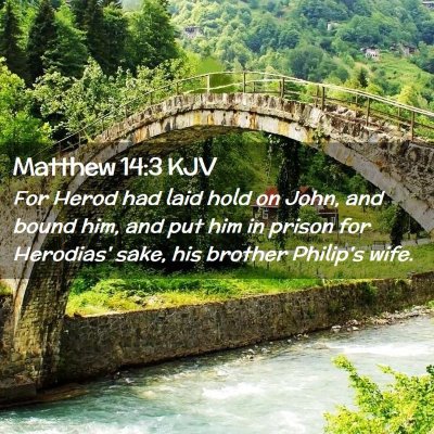 Picture 02 - Matthew 14:3 KJV - For Herod had laid hold on John, and bound him, - Bible Verse Picture