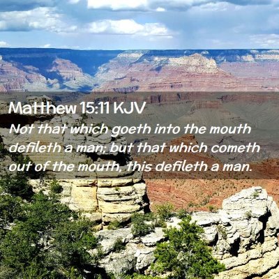 Picture 02 - Matthew 15:11 KJV - Not that which goeth into the mouth defileth a - Bible Verse Picture