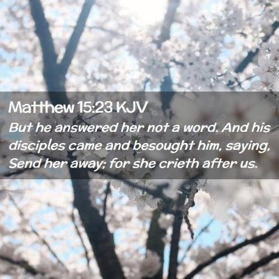 Picture 02 - Matthew 15:23 KJV - But he answered her not a word. And his disciples - Bible Verse Picture