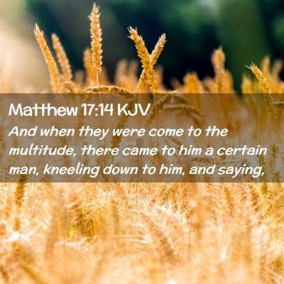 Picture 02 - Matthew 17:14 KJV - And when they were come to the multitude, there - Bible Verse Picture