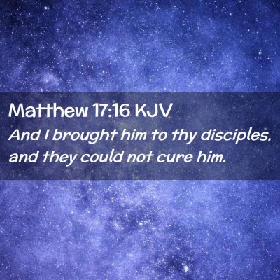 Picture 02 - Matthew 17:16 KJV - And I brought him to thy disciples, and they - Bible Verse Picture