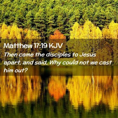 Picture 02 - Matthew 17:19 KJV - Then came the disciples to Jesus apart, and said, - Bible Verse Picture