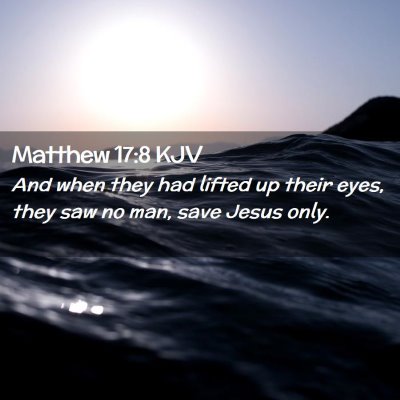 Picture 02 - Matthew 17:8 KJV - And when they had lifted up their eyes, they saw - Bible Verse Picture