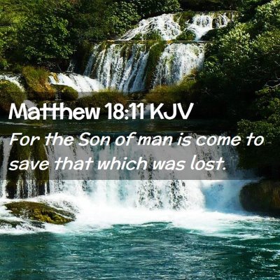 Picture 02 - Matthew 18:11 KJV - For the Son of man is come to save that which was - Bible Verse Picture