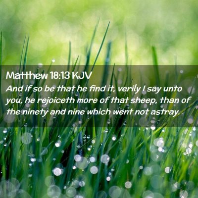 Picture 02 - Matthew 18:13 KJV - And if so be that he find it, verily I say unto - Bible Verse Picture