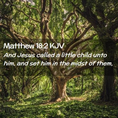Picture 02 - Matthew 18:2 KJV - And Jesus called a little child unto him, and set - Bible Verse Picture