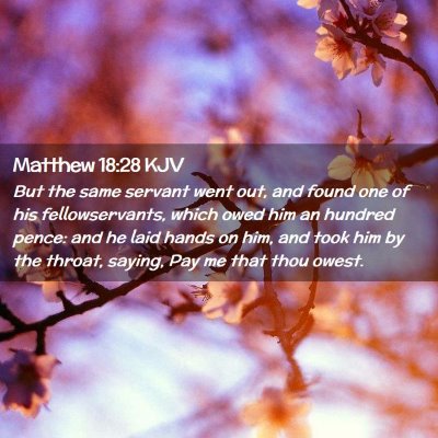 Picture 02 - Matthew 18:28 KJV - But the same servant went out, and found one of - Bible Verse Picture
