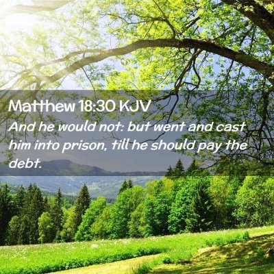 Picture 02 - Matthew 18:30 KJV - And he would not: but went and cast him into - Bible Verse Picture