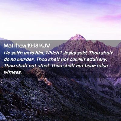 Picture 02 - Matthew 19:18 KJV - He saith unto him, Which? Jesus said, Thou shalt - Bible Verse Picture