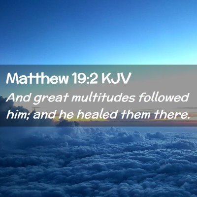 Picture 02 - Matthew 19:2 KJV - And great multitudes followed him; and he healed - Bible Verse Picture