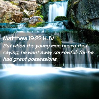 Picture 02 - Matthew 19:22 KJV - But when the young man heard that saying, he went - Bible Verse Picture