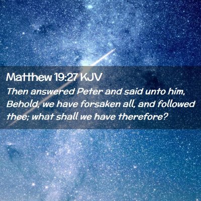 Picture 02 - Matthew 19:27 KJV - Then answered Peter and said unto him, Behold, we - Bible Verse Picture