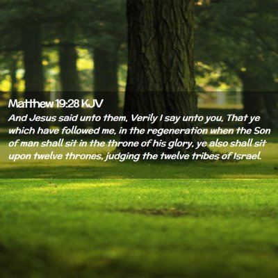 Picture 02 - Matthew 19:28 KJV - And Jesus said unto them, Verily I say unto you, - Bible Verse Picture