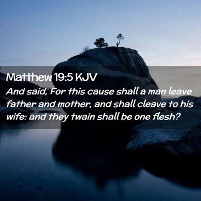 Picture 02 - Matthew 19:5 KJV - And said, For this cause shall a man leave father - Bible Verse Picture