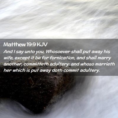 Picture 02 - Matthew 19:9 KJV - And I say unto you, Whosoever shall put away his - Bible Verse Picture