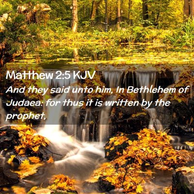 Picture 02 - Matthew 2:5 KJV - And they said unto him, In Bethlehem of Judaea: - Bible Verse Picture