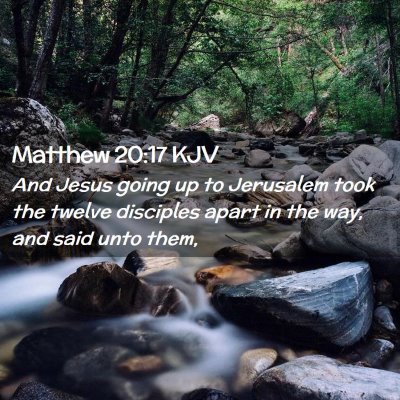 Picture 02 - Matthew 20:17 KJV - And Jesus going up to Jerusalem took the twelve - Bible Verse Picture