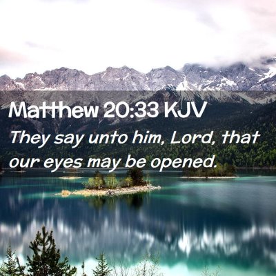 Picture 02 - Matthew 20:33 KJV - They say unto him, Lord, that our eyes may be - Bible Verse Picture