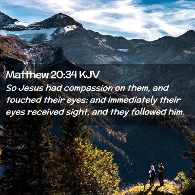 Picture 02 - Matthew 20:34 KJV - So Jesus had compassion on them, and touched - Bible Verse Picture