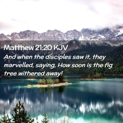 Picture 02 - Matthew 21:20 KJV - And when the disciples saw it, they marvelled, - Bible Verse Picture