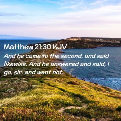 Picture 02 - Matthew 21:30 KJV - And he came to the second, and said likewise. And - Bible Verse Picture