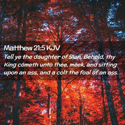Picture 02 - Matthew 21:5 KJV - Tell ye the daughter of Sion, Behold, thy King - Bible Verse Picture