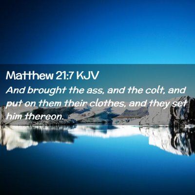 Picture 02 - Matthew 21:7 KJV - And brought the ass, and the colt, and put on - Bible Verse Picture